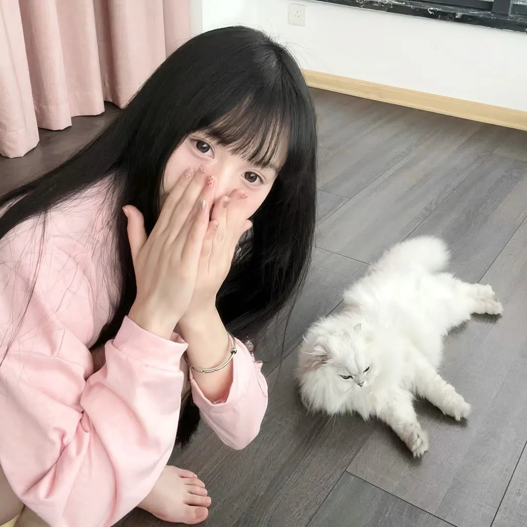 迈阿密特别行动